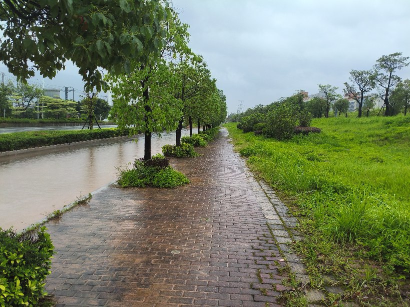 涵江雨中街道
